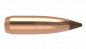 Preview: Nosler Balistic Tip 26100 Bullet